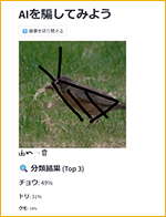 松井研究室